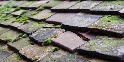 Capel Gwyn roof repair costs